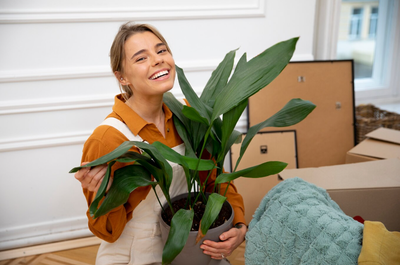 Caring for Your Philodendron Gloriosum - Keeping Your Plant Healthy and Thriving